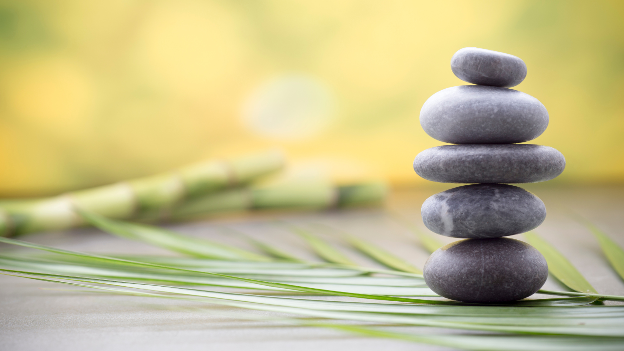 General Wellness Bundle